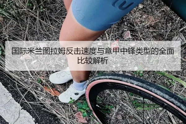 国际米兰图拉姆反击速度与意甲中锋类型的全面比较解析