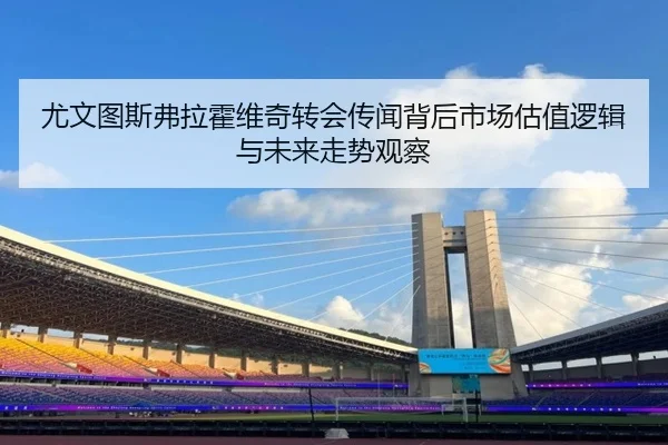尤文图斯弗拉霍维奇转会传闻背后市场估值逻辑与未来走势观察