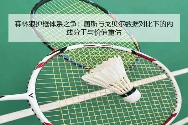 森林狼护框体系之争：唐斯与戈贝尔数据对比下的内线分工与价值重估